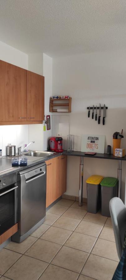 Appartement Avec Grande Terrasse A 15 Mn De La Mer Saint-Esteve  Ngoại thất bức ảnh